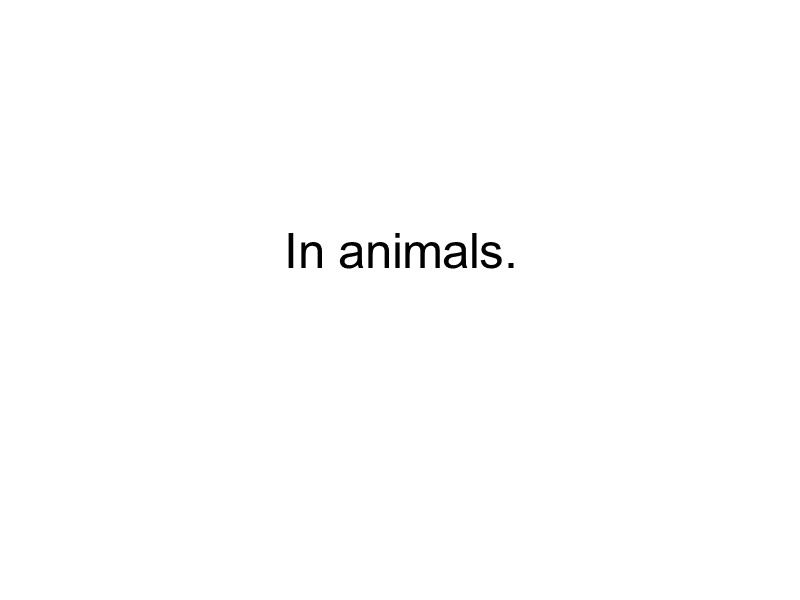 In animals.